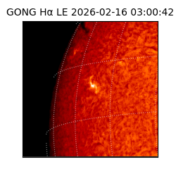 gong - 2026-02-16T03:00:42