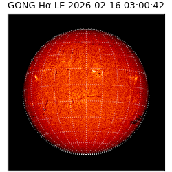 gong - 2026-02-16T03:00:42