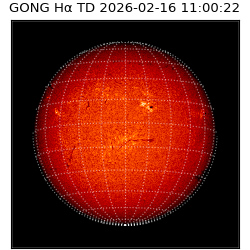 gong - 2026-02-16T11:00:22