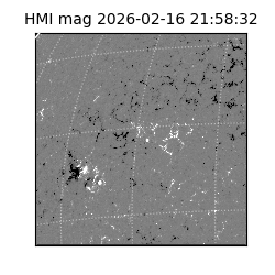 shmi - 2026-02-16T21:58:32