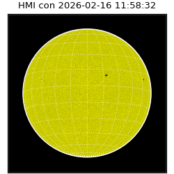 shmi - 2026-02-16T11:58:32