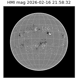 shmi - 2026-02-16T21:58:32