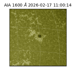saia - 2026-02-17T11:00:14.125000
