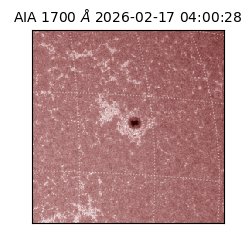 saia - 2026-02-17T04:00:28.717000