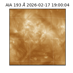 saia - 2026-02-17T19:00:04.835000