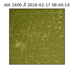 saia - 2026-02-17T08:00:14.126000
