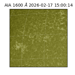 saia - 2026-02-17T15:00:14.125000