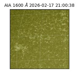 saia - 2026-02-17T21:00:38.129000