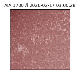 saia - 2026-02-17T03:00:28.729000