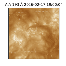 saia - 2026-02-17T19:00:04.835000
