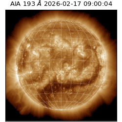 saia - 2026-02-17T09:00:04.843000