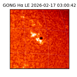gong - 2026-02-17T03:00:42
