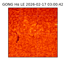 gong - 2026-02-17T03:00:42