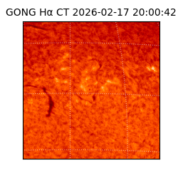 gong - 2026-02-17T20:00:42
