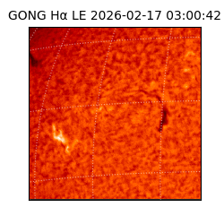 gong - 2026-02-17T03:00:42