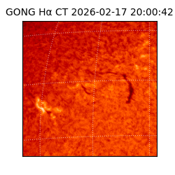 gong - 2026-02-17T20:00:42