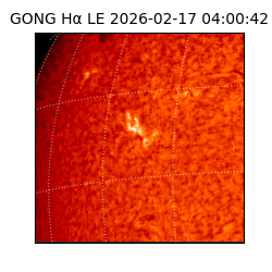 gong - 2026-02-17T04:00:42
