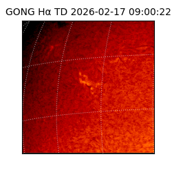 gong - 2026-02-17T09:00:22