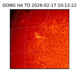 gong - 2026-02-17T10:12:22