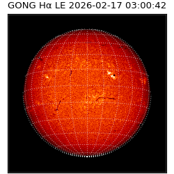 gong - 2026-02-17T03:00:42
