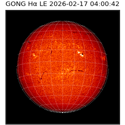 gong - 2026-02-17T04:00:42
