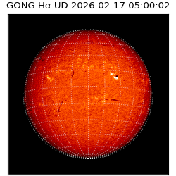 gong - 2026-02-17T05:00:02