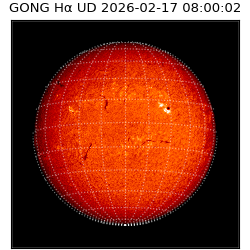 gong - 2026-02-17T08:00:02