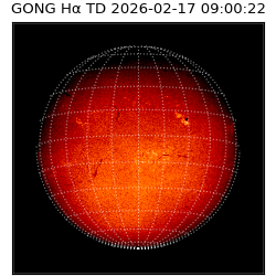gong - 2026-02-17T09:00:22