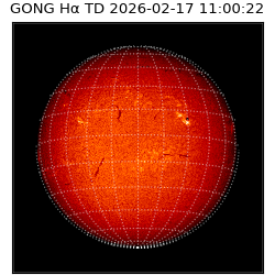 gong - 2026-02-17T11:00:22