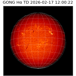 gong - 2026-02-17T12:00:22