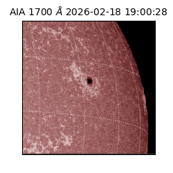 saia - 2026-02-18T19:00:28.717000