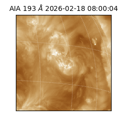 saia - 2026-02-18T08:00:04.843000