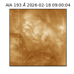 saia - 2026-02-18T09:00:04.843000