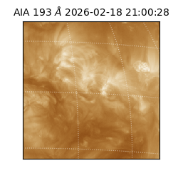 saia - 2026-02-18T21:00:28.843000