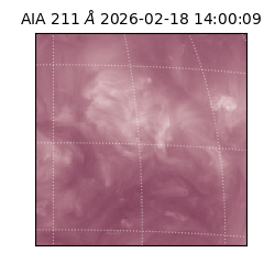 saia - 2026-02-18T14:00:09.618000