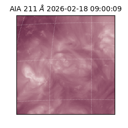 saia - 2026-02-18T09:00:09.625000