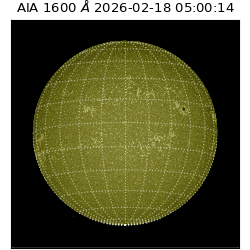 saia - 2026-02-18T05:00:14.117000