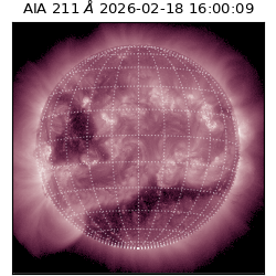 saia - 2026-02-18T16:00:09.626000