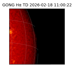 gong - 2026-02-18T11:00:22