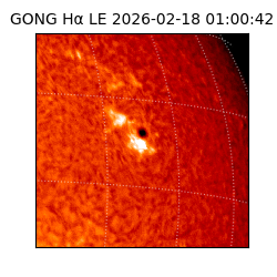 gong - 2026-02-18T01:00:42