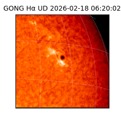 gong - 2026-02-18T06:20:02