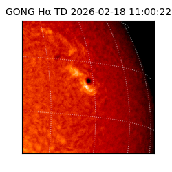 gong - 2026-02-18T11:00:22
