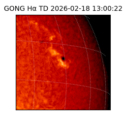 gong - 2026-02-18T13:00:22