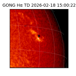 gong - 2026-02-18T15:00:22