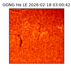 gong - 2026-02-18T03:00:42