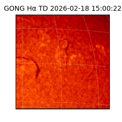 gong - 2026-02-18T15:00:22