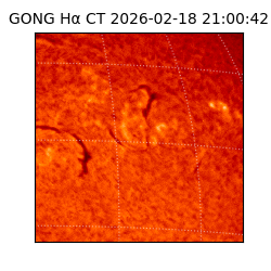gong - 2026-02-18T21:00:42
