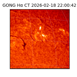 gong - 2026-02-18T22:00:42