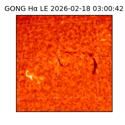 gong - 2026-02-18T03:00:42