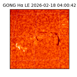 gong - 2026-02-18T04:00:42